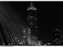 Rotterdamse Bruggen