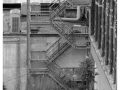 ©-Jannie-Walk-the-Block-1