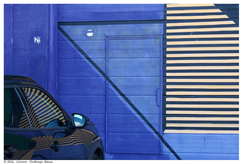 ©-Corinne-Blauw