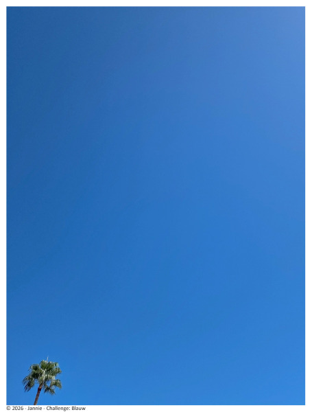 ©-Jannie-Blauw
