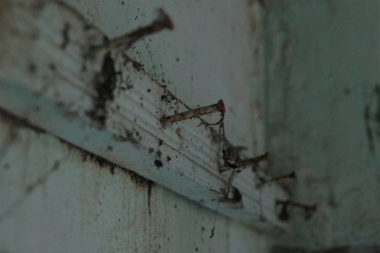 © Corinne - Doel