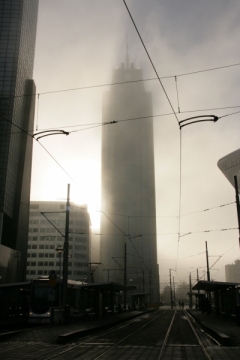 © Jannie - Weena - de winnende foto